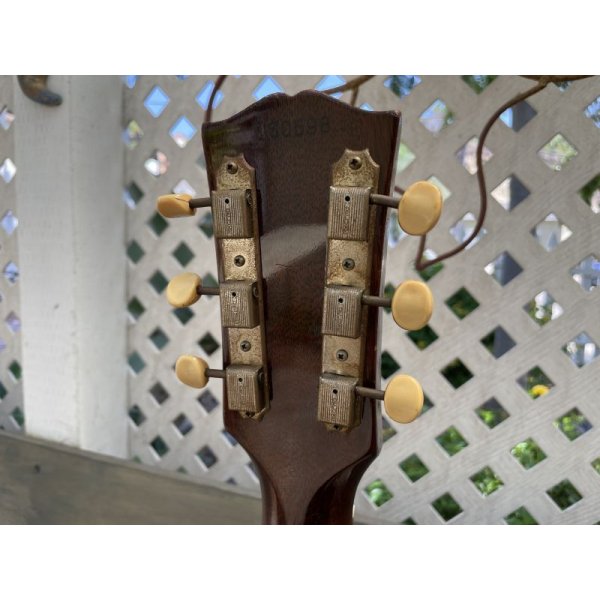 画像8: Gibson ES-125T 1964 Sunburst w/case 売却済 (8)