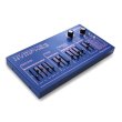 画像2: Dreadbox　NYMPHES  Analog Synthesizer　 (2)