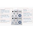 画像3: Buchla & Tiptop Audio Dual Oscillator Model 258t　次回入荷分 (3)