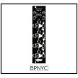 画像1: Noise Engineering Quantus Ampla　次回入荷分 (1)