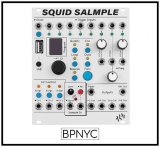 画像: ALM Busy Circuits Squid Salmple　次回入荷分