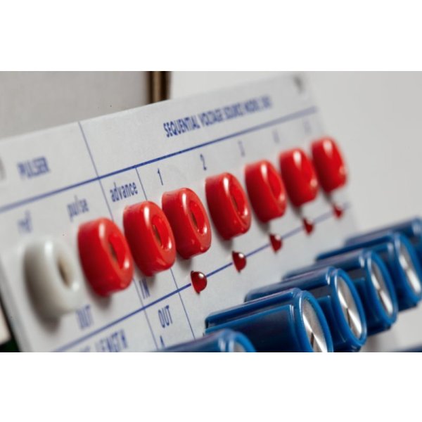 画像5: Buchla & Tiptop Audio Sequential Voltage Source Model 245t　次回入荷分 (5)