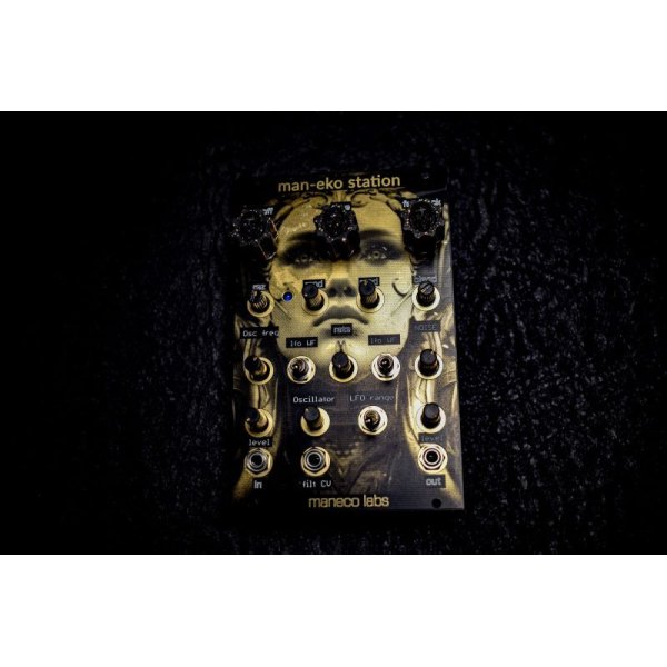 画像2: Maneco Labs man-eko station (eurorack)　 (2)