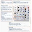 画像2: Buchla & Tiptop Audio SOURCE OF UNCERTAINTY MODEL 266t　次回入荷分 (2)