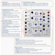 画像2: Buchla & Tiptop Audio SOURCE OF UNCERTAINTY MODEL 266t　 (2)