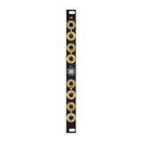 画像: Black Noise Modular QBI　次回入荷分