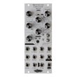 画像2: Noise Engineering  Basimilus Iteritas Alia 　次回入荷分 (2)