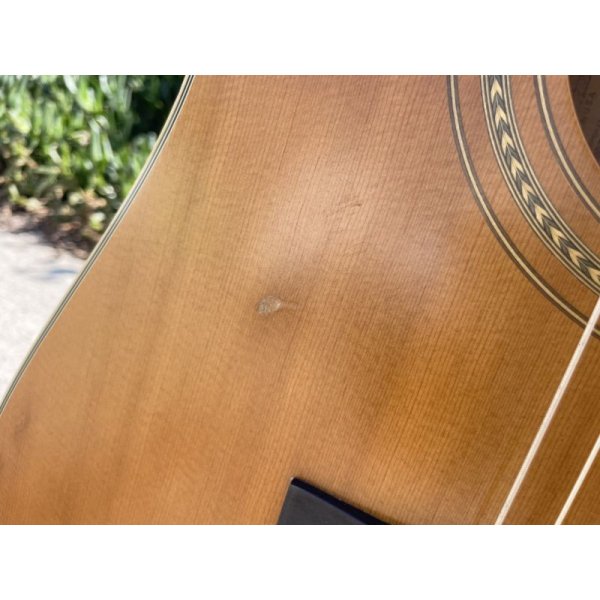 画像11: Guild DV52-NT 1994 with OHSC (11)