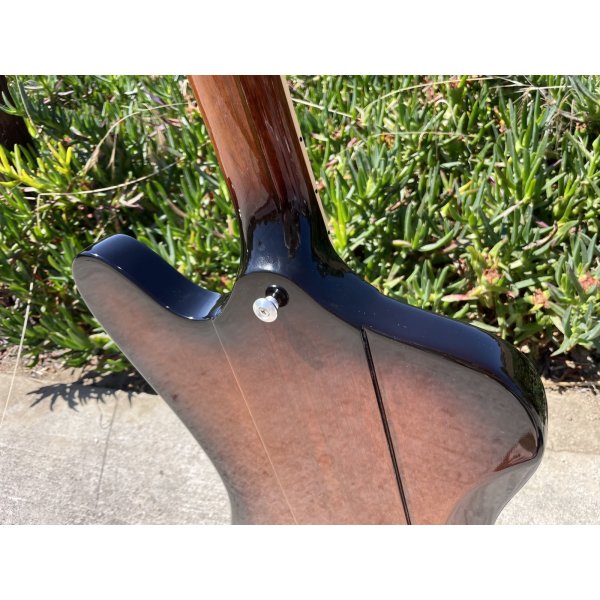 画像11: Gibson Firebird 2019 Tobacco Burst (11)