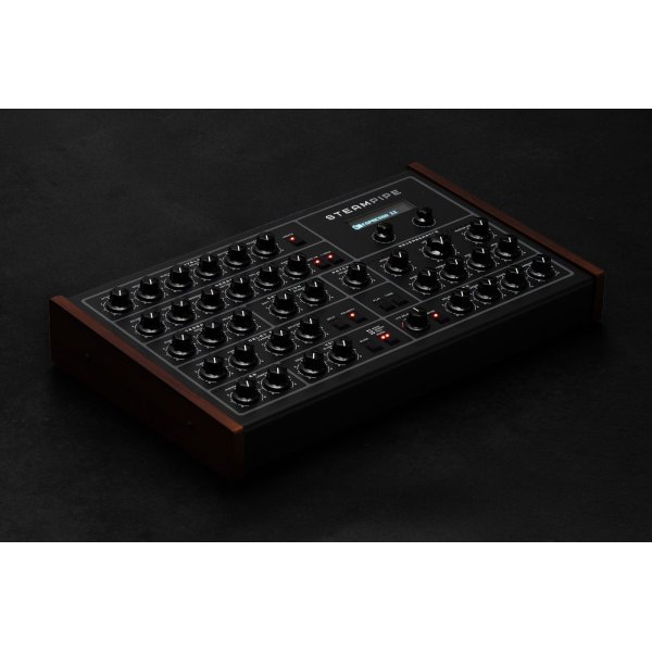 画像4: Erica Synths  Steampipe　要予約 (4)