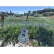 画像3: 2018 Gibson Les Paul classic player plus Satin Ocean Blue (3)