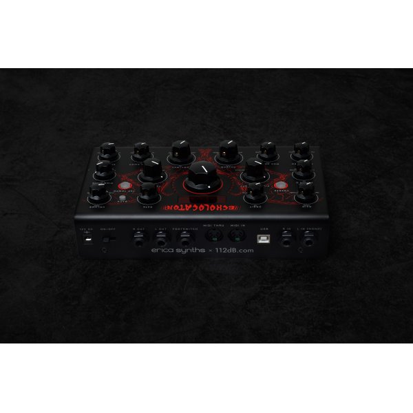 画像3: Erica Synths  Echolocator　 (3)