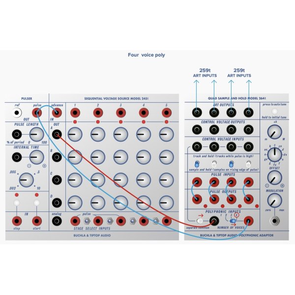 画像4: Buchla & Tiptop Audio Programmable Pulser Model 264t　 (4)