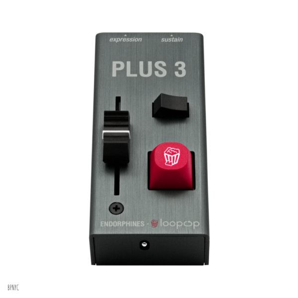 画像4: Endorphin.es PLUS 3 PEDAL　次回入荷分 (4)