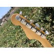 画像12: Hagstrom II 1960s Beautiful Red, All original, HSC, Tremolo bar (12)