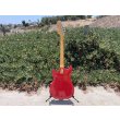 画像11: Hagstrom II 1960s Beautiful Red, All original, HSC, Tremolo bar (11)
