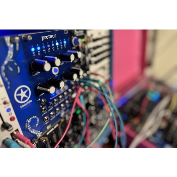 画像5: Seaside Modular Proteus  (5)