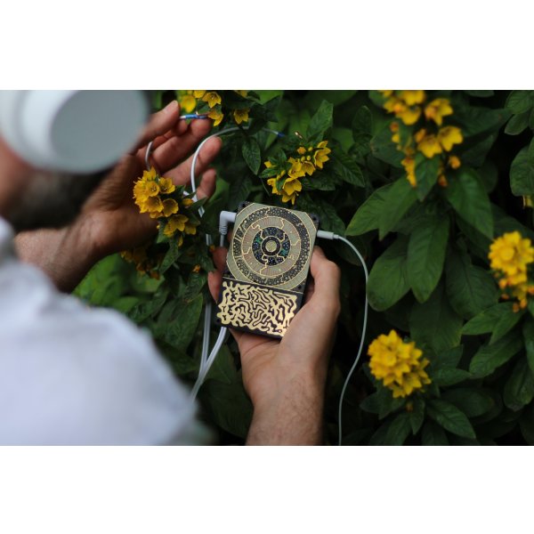 画像16: Instruō Pocket Scion Bio-Feedback Instrument　次回入荷分 (16)