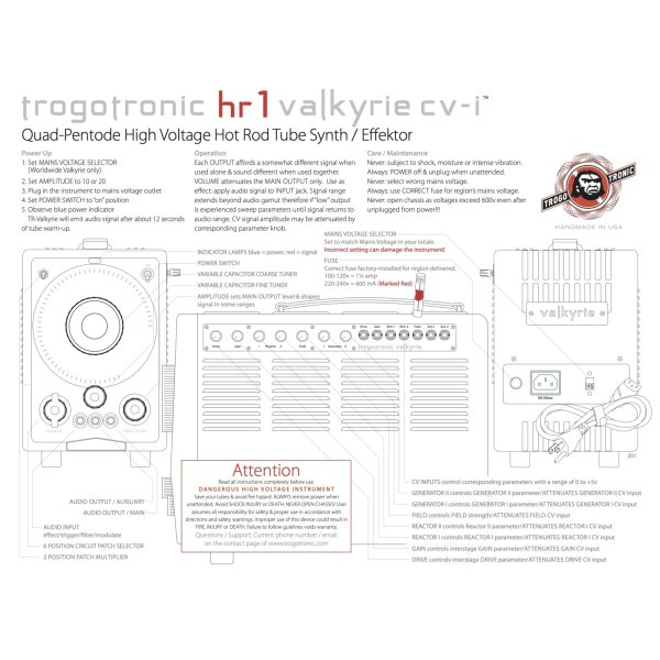 画像2: Trogotronic TR-Valkyrie　要予約 (2)