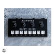 画像1: Erica Synths  Pikocore XL DIY (1)