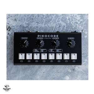 画像: Erica Synths  Pikocore XL DIY