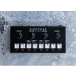 画像2: Erica Synths  Pikocore XL DIY (2)