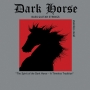 画像1: DARK HORSE BASS GUITAR STRINGS STAINLESS STEEL 45105 (1)