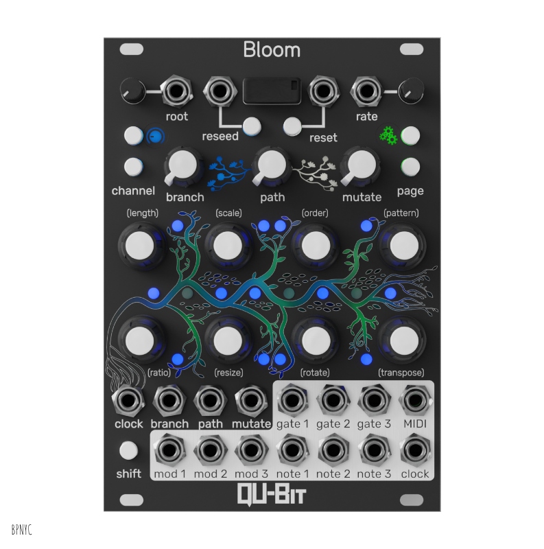 画像1: Qu-Bit Electronix  BLOOM V2　 (1)